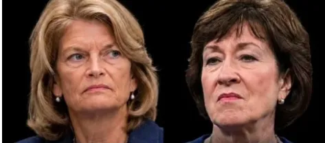 smc429's tweet photo. Fuck them Women protecting pedophiles What a couple of idiots. https://t.co/MDeMzAXv7O