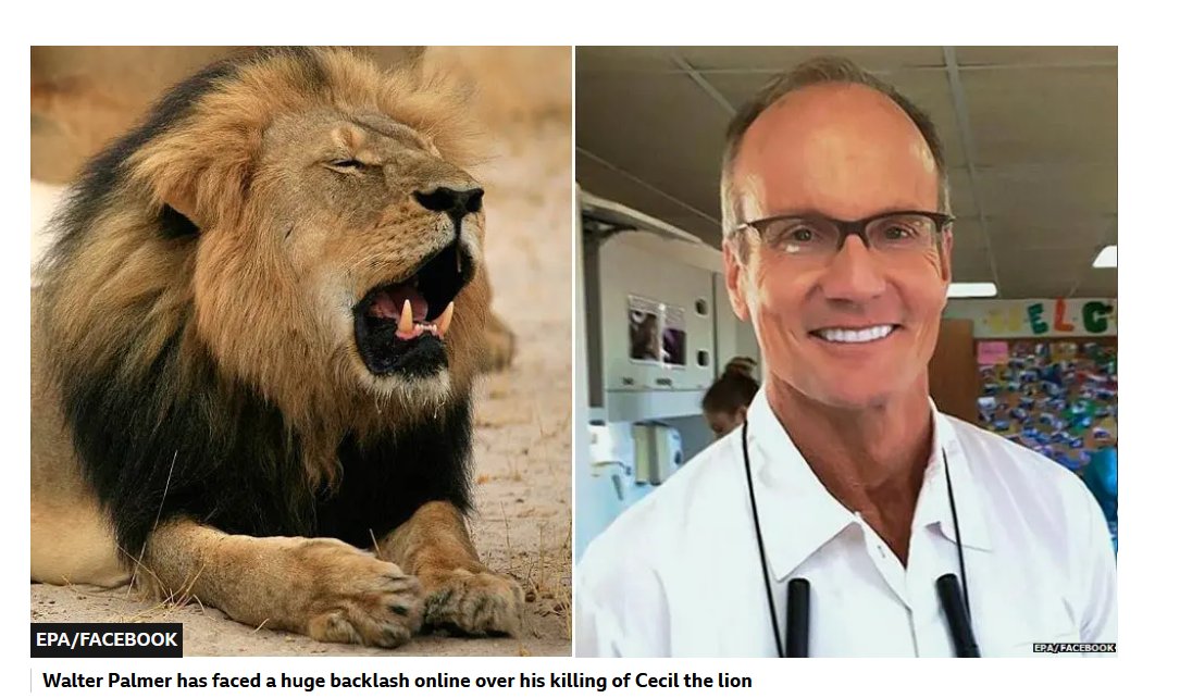 CultureCrone's tweet photo. @Martina Cecil. Keep saying his name.
2015: US dentist Walter Palmer is said to have paid $50,00 to hunt &amp; kill Cecil, a research lion in Zimbabwe's Hwange National Park, by luring Cecil out of a protected park with bait &amp; shooting him with a bow &amp; arrow. Pic from https://t.co/KdDonVAzNR https://t.co/O7Udvf4NqX