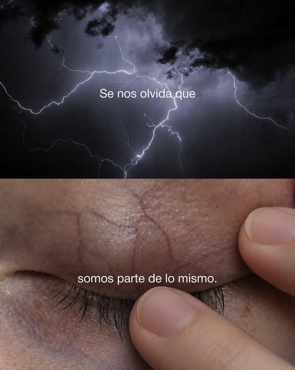 espirituilum's tweet photo. Se nos olvida que somos parte de lo mismo.

Que detrás de cada historia, cada cuerpo y cada forma de pensar, hay algo que también siente, ama, pierde, sueña y busca volver a casa.

Tal vez por eso algunas personas se sienten tan familiares.

Tal vez el alma reconoce cosas que la mente todavía no entiende.

Y quizá vivir también se trata de recordar esto:

no estamos tan separados como creemos.