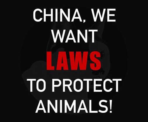 TweedTweedle's tweet photo. #wangwang
#旺旺
#justiceforwangwang
#enforcelaws
#ChinaTravel
#ChinaTourism
#中国旅游
#中国景点
#广东揭阳
#boycottguangdong
#boycottguangxi
#boycottchina https://t.co/9XM0suiz7G