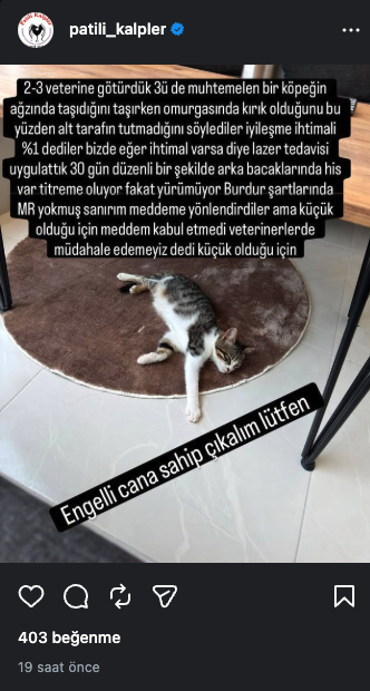 sedaunlern's tweet photo. Bu paylaşımdaki tutarsızlıkları listele @grok https://t.co/7zJD7FaxK3