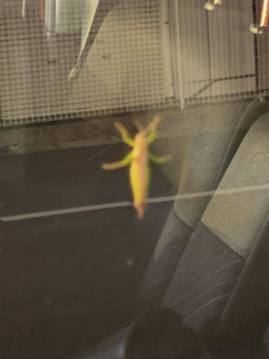 _funa001's tweet photo. ←車の外から撮った写真
→松屋の中から撮った写真 https://t.co/mhCkJjYfwh