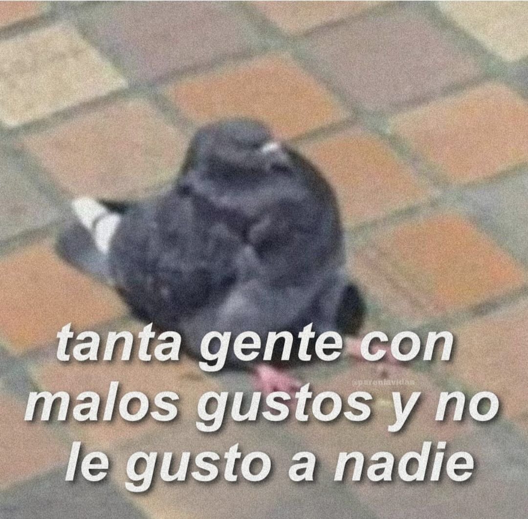 paracetamor's tweet photo. https://t.co/Raq9qJrRkP
