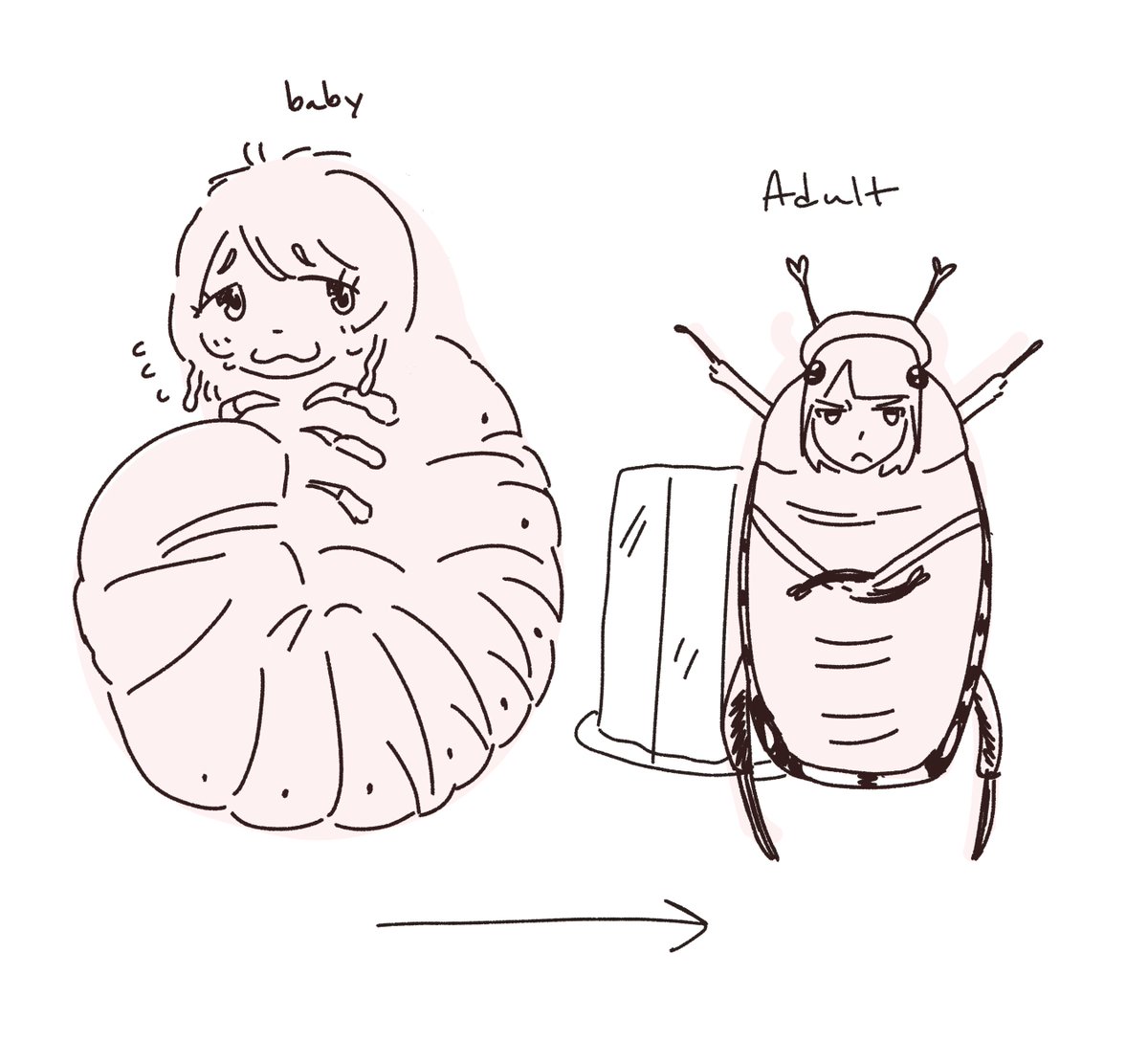 swordgunlimited's tweet photo. beetles https://t.co/KAw8vO6t68