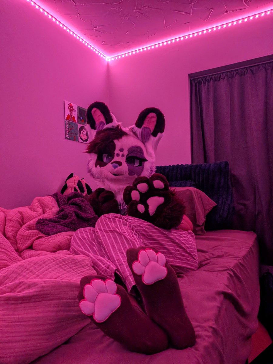 akifuzzbun's tweet photo. this just in: rabbit engages in extremely homosexual behavior https://t.co/zBdcSIkzgP