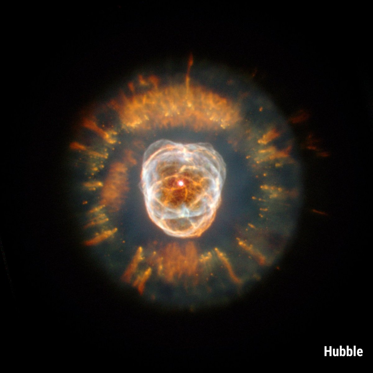 NASAHubble's tweet photo. In these cosmic captures, the Lion Nebula is the mane attraction 🦁

A dying star casts off its outer layers to create this intricate structure of gas and dust. Scientists think that it will disperse in about 10,000 years... which is very short, in astronomical terms. ⬇️ https://t.co/Ik4JXOtijd