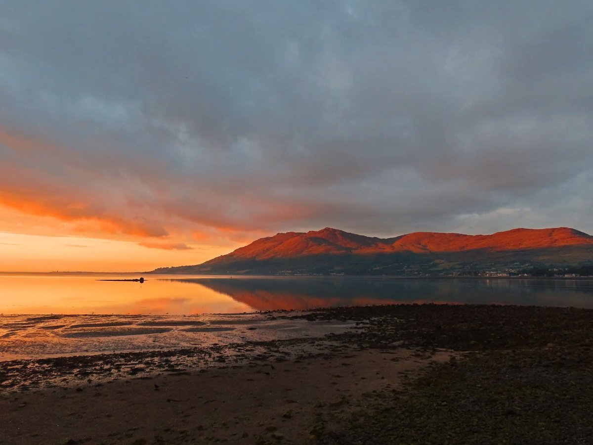 ThisIsIreland3's tweet photo. Sunrise, Warrenpoint and Carlingford Lough, spectacular 🌄🌅
📍 County Down - Éire 🇮🇪
📸 Martin G McCaul
#Warrenpoint #Ireland #Down #Carlingfordlough #Sunrise https://t.co/srBB12chRh