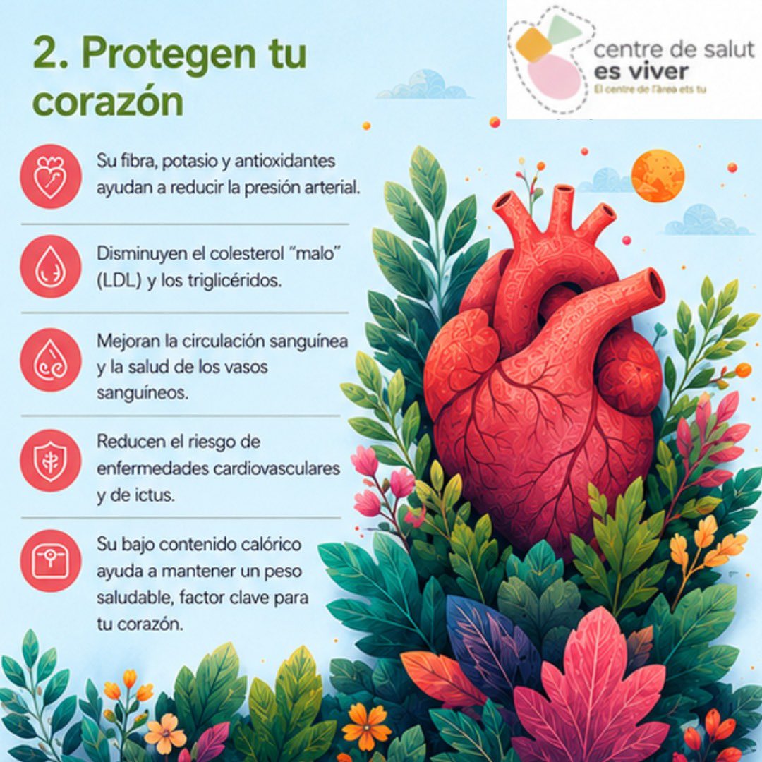 primariaasef's tweet photo. 🥦🌱 Los vegetales son salud
✅ Aportan vitaminas y fibra
💚 Ayudan al corazón y la digestión
🛡️ Refuerzan las defensas y el bienestar
VIA CS ES VIVER
@salutGOIB @IBSalut_ @asef_ibsalut
#AlimentaciónSaludable #Vegetales #Salud #Bienestar #VidaSana https://t.co/16rP5XjWVZ