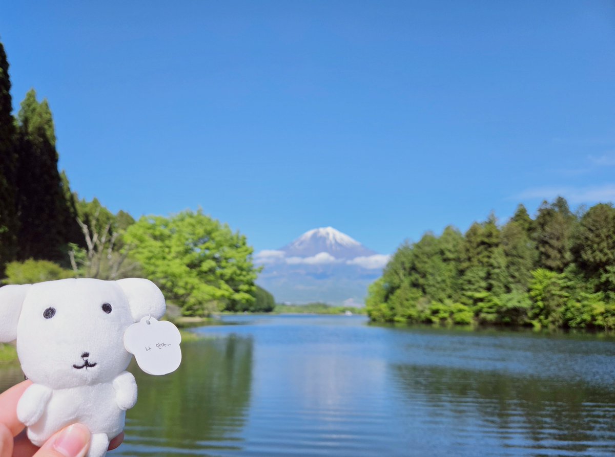hoolowcvp's tweet photo. #富士山　#田貫湖 https://t.co/1Zstfe4Eps