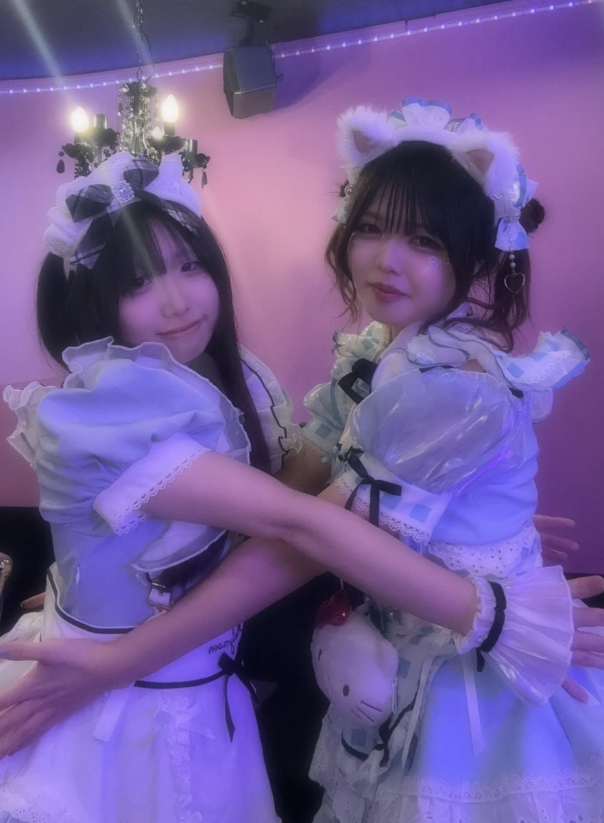 chamsutar's tweet photo. 今日はふわりさんをめろの上腕で挟みました💕 https://t.co/0HcrZhIQ7Z