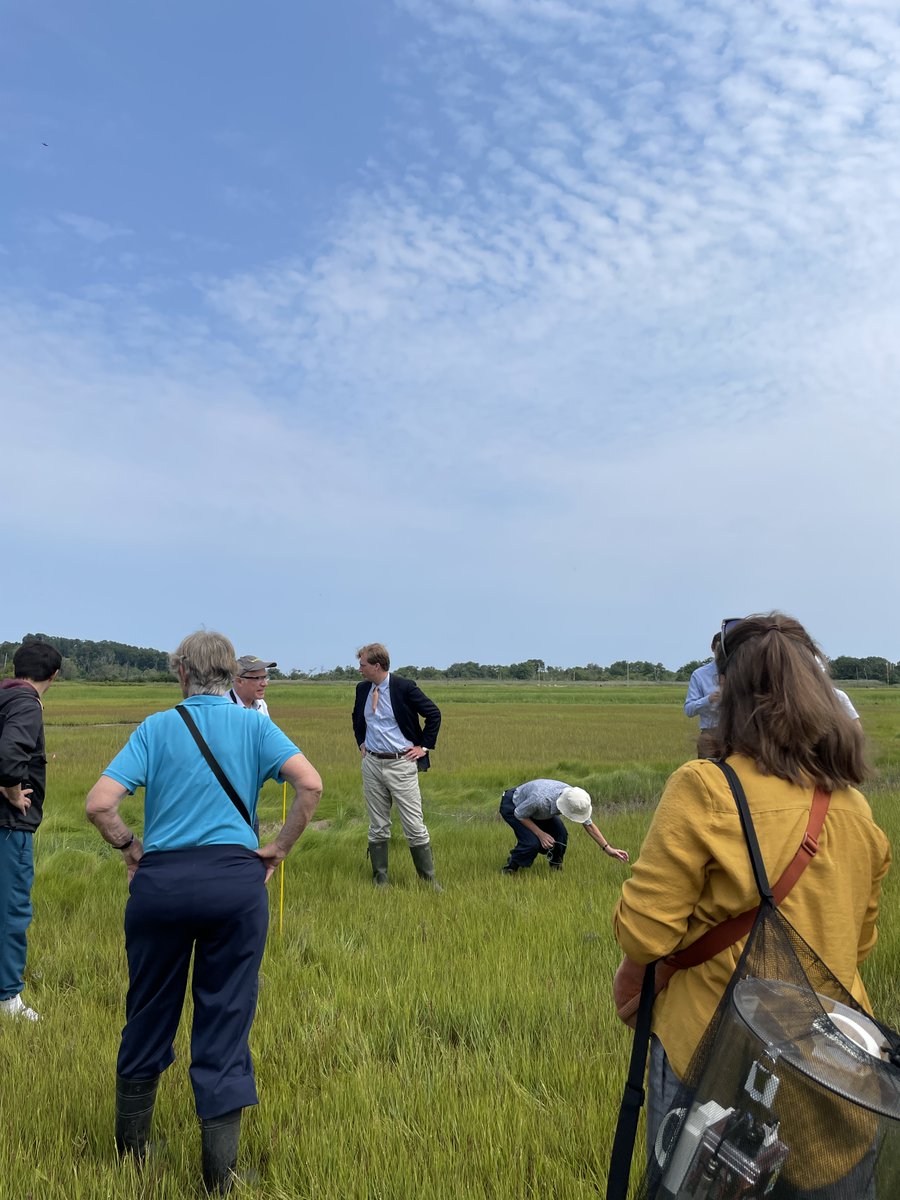 UKinBoston's tweet photo. From walking through salt marshes in wellingtons to seeing AI science factories in hard hats, UK Government Chief Scientific Adviser Professor Dame Angela McLean is deepening UK-US science ties this week! https://t.co/2RRLUqmi3O