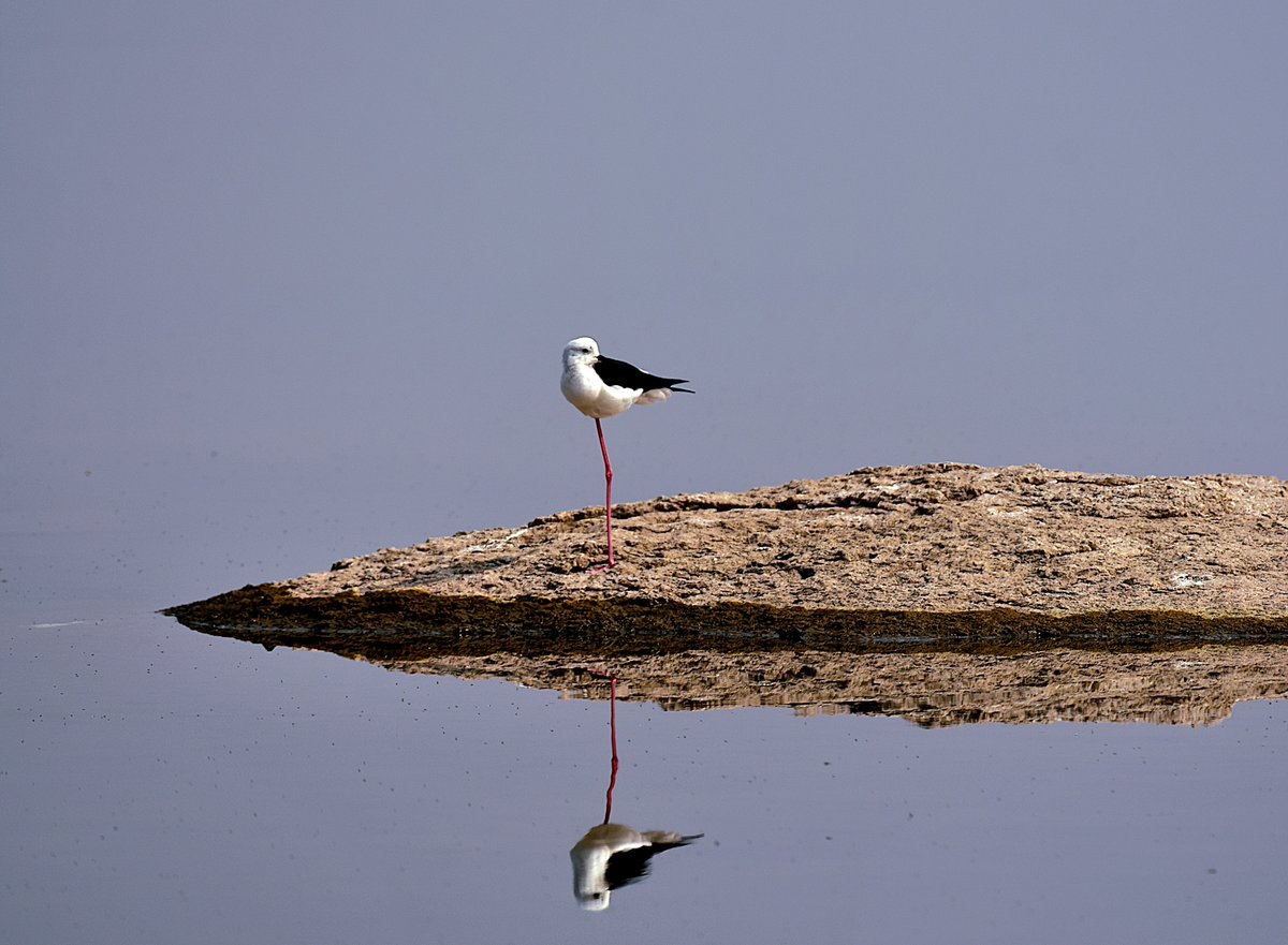 anand_hr's tweet photo. Share a photo of reflection!
#theme_pic_India_reflection https://t.co/ewJebItvVh