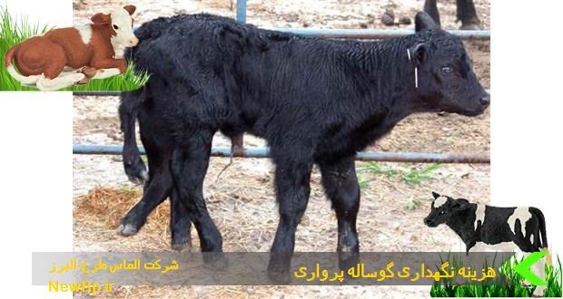 anbiyar12's tweet photo. جمهوری اسلامی کماکان هزینه‌ی صفر تا ۱۰۰ حزب‌الله و خانواده‌هایشان را پرداخت می‌کند. این در صورتی است که فقط هزینه ماهیانه یک گوساله در دامپروری ۱۷ میلیون تومان است.

اینو برای اون احمق‌هایی نوشتم که کماکان از یک رژیم اشغالگر و ضد ایرانی حمایت می‌کنند!!

#جاويدشاه‌ https://t.co/A6ksReccyj