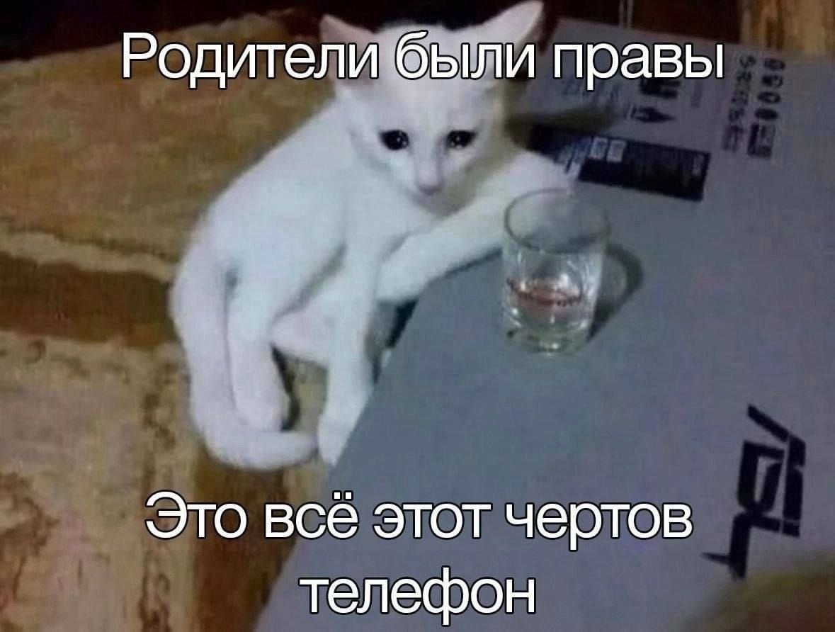 catsilcats's tweet photo. https://t.co/gfx5qcdFyy