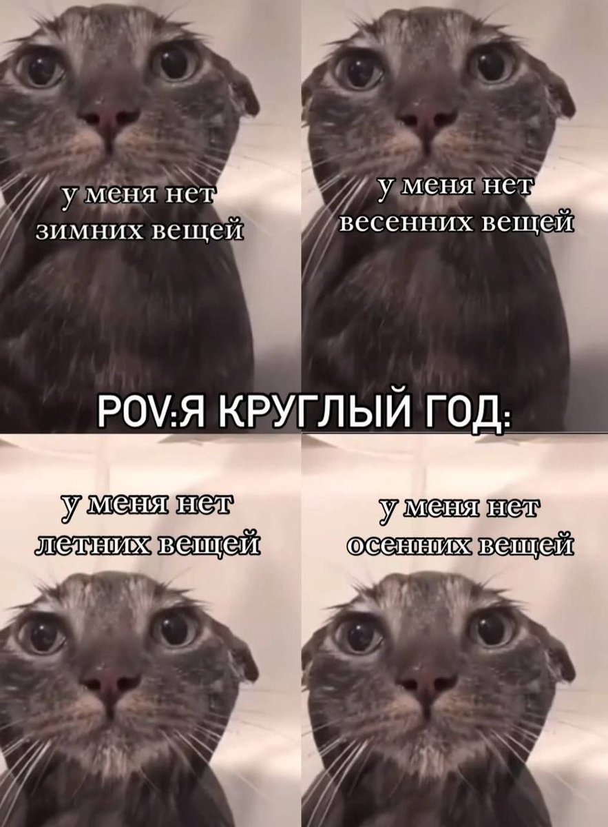 catsilcats's tweet photo. https://t.co/NkThrVLXuE