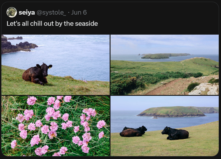 systole_'s tweet photo. Tonight we mourn the loss of the grid format ... https://t.co/IQnAoqKhtz