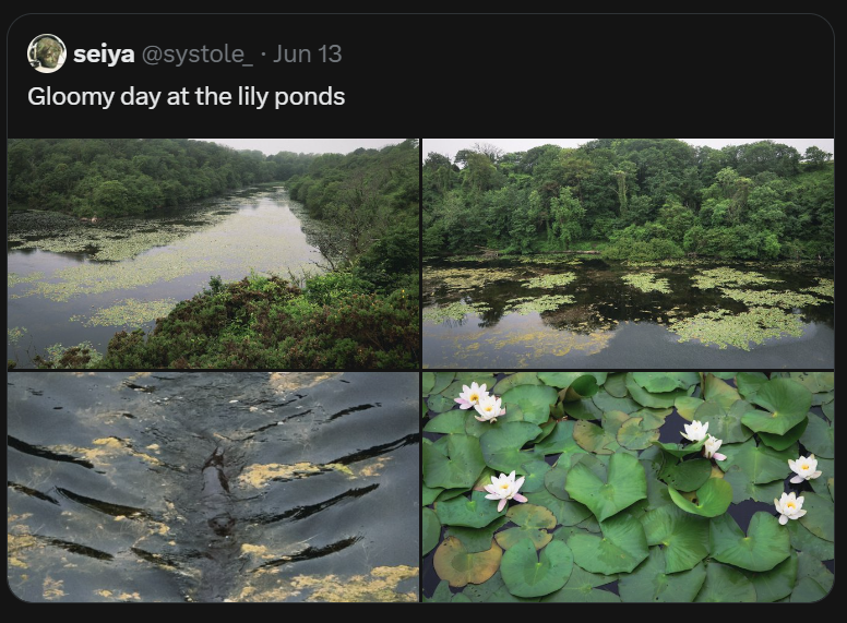 systole_'s tweet photo. Tonight we mourn the loss of the grid format ... https://t.co/IQnAoqKhtz