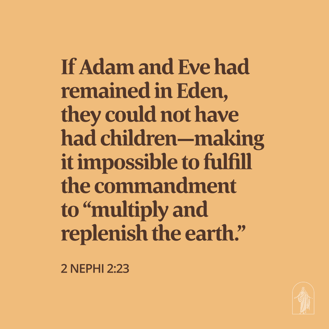 thebookofmormon's tweet photo. The Book of Mormon gives us clarity about the Fall of Adam and Eve and helps us better understand its role in our mortal lives. https://t.co/awSmHYT7vX