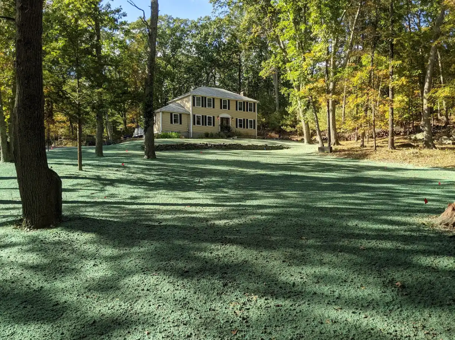 abucklandscaper's tweet photo. Ready to see your lawn flourish? Trust our professional team to handle all your grass seeding needs!

#lawn #lawncare #landscaping #ABuckleyLandscaping #professionallawncare #yardgoals #lawnexpansion #Finnhydroseeding #hydroseeding https://t.co/6sg38fMz3r
