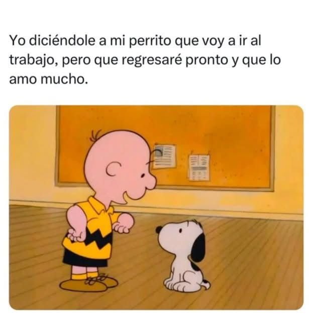 rey_latino33087's tweet photo. https://t.co/QhOX5Be9vS