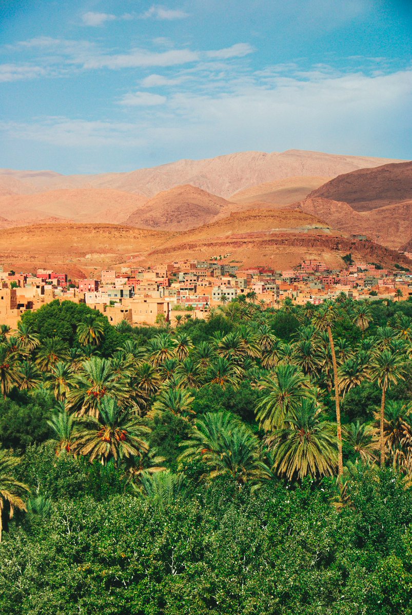 exploreittours's tweet photo. 🇲🇦 Explore Morocco with local experts! Enjoy private tours, ancient cities, camel rides and unforgettable Sahara sunsets. 🐪🌅

Book your adventure: https://t.co/IUUohOfiga

#VisitMorocco #ExploreItTours https://t.co/I12hs6aKWQ