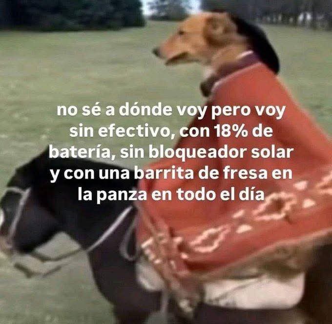 ojoscol0rsol's tweet photo. https://t.co/k8aBcoab8V