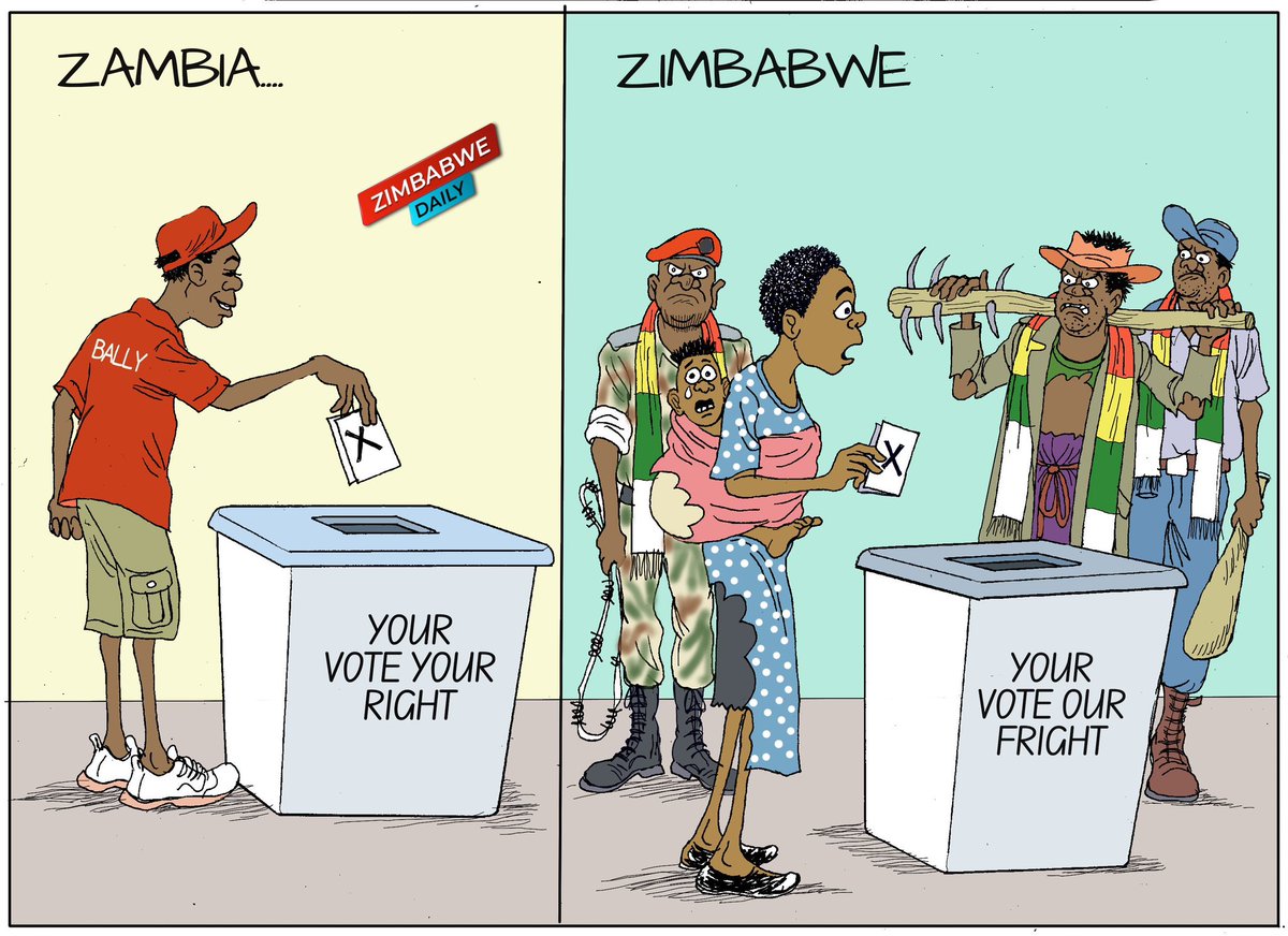 ZimDaily tweet picture