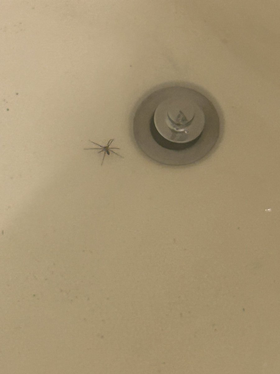 Craigbomb84's tweet photo. Peter this Peter that… Craig’s about to be the next Spider-Man bitch! https://t.co/1DmPfpUnSv