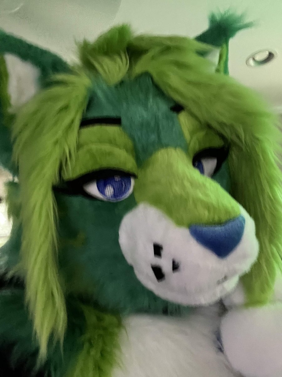 LinkNotFound4O4's tweet photo. New suiitttt!!!! I finally have a suit of my lil goofy robo shark cat and i cant wait to start suiting at my local meeetss :DDD https://t.co/NgcWENtssP