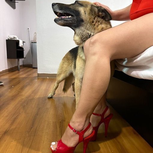 Kimberlyzoomom's tweet photo. A taste of my zoo ★ Taboo will get you addicted ask for Menu🛍️🌠🐾🤤 https://t.co/JDfNceWZLI 
 #zoo #naked #teen #fucked #suck #pussy #indoor #k9bitch #HD #wild #z00philia https://t.co/3veAS4qFnf