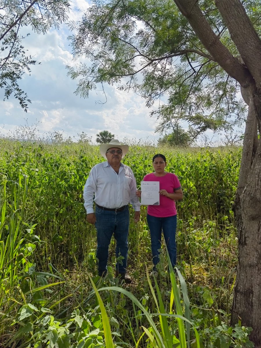 ITAVUTamps's tweet photo. Con la visión estadista del gobernador @Dr_AVillarreal, el #ITAVU entregó 2 lotes y un apoyo de descuento de intereses moratorios en #Aldama. El Director General, Germán Fernández Guzmán impulsa acciones y oportunidades para que Tamaulipas sea un mejor lugar para vivir. https://t.co/nhzXOlc5Wm