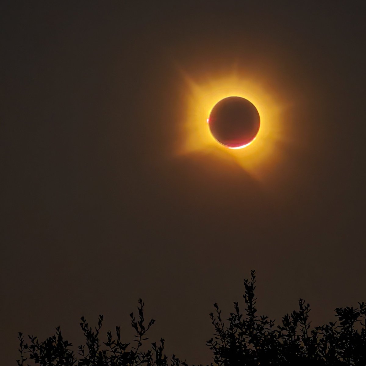 YennythS's tweet photo. Que bonito estuvo el eclipse https://t.co/9x3O9kw1D9