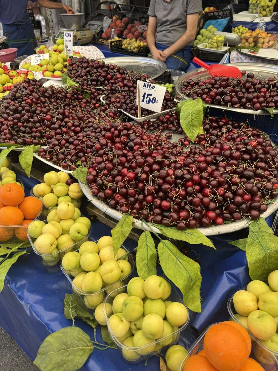 honeybunyy33039's tweet photo. went to the market and they were selling huge figs… my dream https://t.co/RGPUEH5mHz