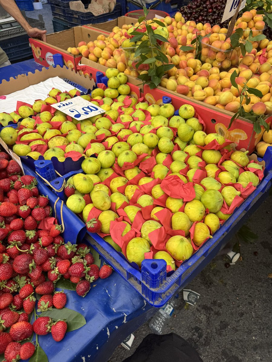 honeybunyy33039's tweet photo. went to the market and they were selling huge figs… my dream https://t.co/RGPUEH5mHz