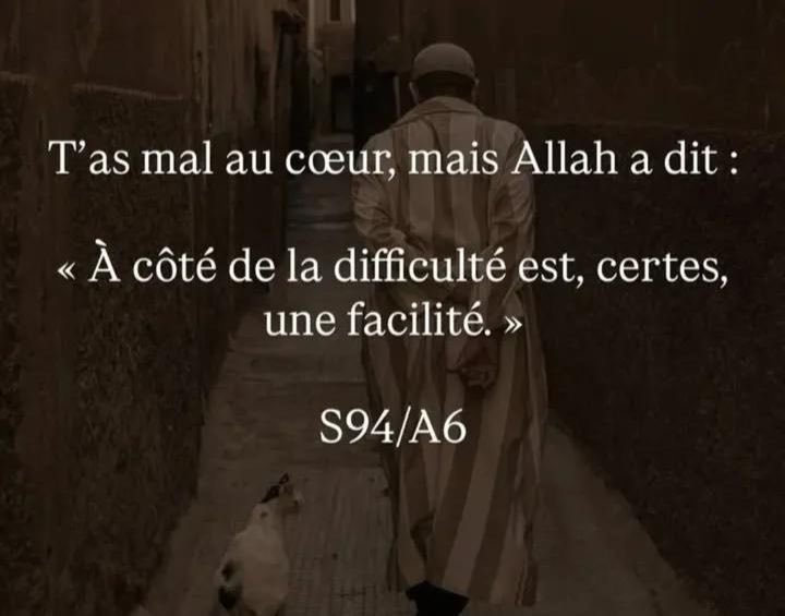 Ben_Baharadine's tweet photo. https://t.co/G9JXW4p363