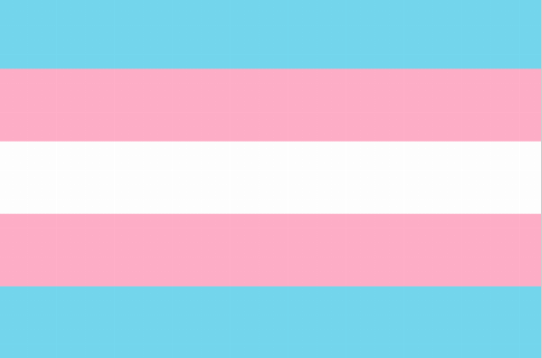 ChocoMilkWrites's tweet photo. *very carefully sets down the flag*

In light of very recent news...
I'm a boy now 🩷

(please don't hurt me-) https://t.co/ACsd8c3xVw