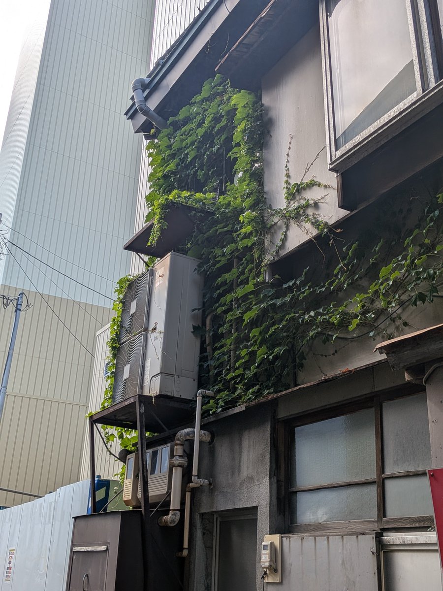 kinoko00942's tweet photo. あ https://t.co/9gaRFKnUJl