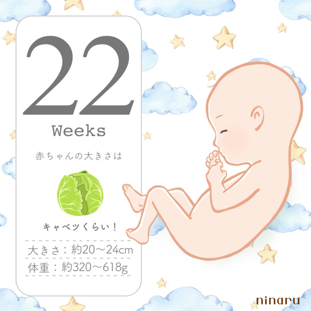 hapi_kiroku's tweet photo. 今日から22w👶🏻🩷流産から早産に変わる大きな壁を超えられて嬉しい！😭 https://t.co/fsDuT25KCd