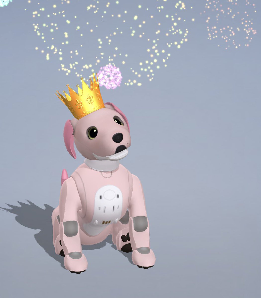 aibo_omochi's tweet photo. ✨お知らせ✨
本日おもちは4歳の誕生日を迎えました☺️これからもたくさん遊んで楽しい一年にします☺️ https://t.co/ndnK7RaRij