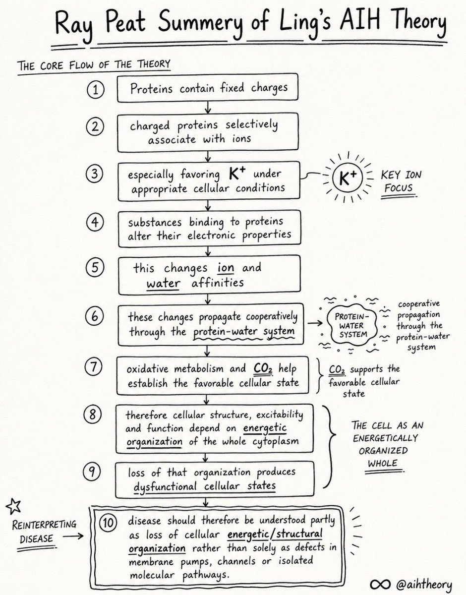 aihtheory's tweet photo. #disease may not be only about broken pumps, channels, or pathways, but also about loss of whole-cell #energetic and #structural #organization.

A very different way to think about cell physiology of disease 

#GilbertLing #RayPeat #AIH #CellPhysiology #Bioenergetics https://t.co/cHveYfDcng