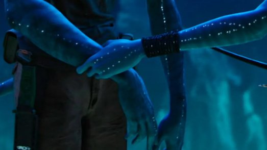 beautyofattolia's tweet photo. We need to have a conversation about the size difference here https://t.co/cGMLkClyWs