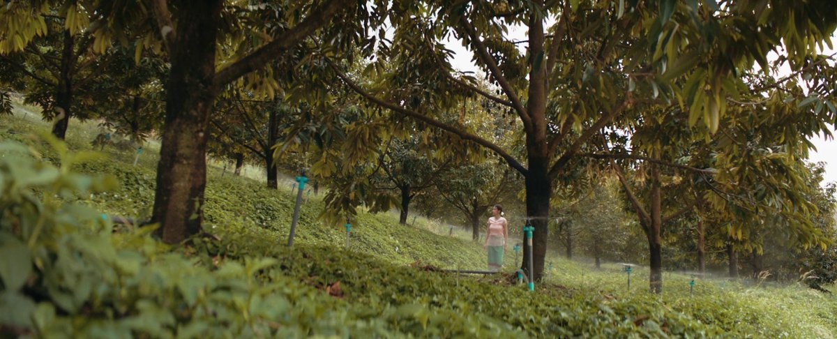 juandibidi's tweet photo. The Paradise Of Thorns (2024)
dir. Naruebet Kuno
1080p
eng sub

https://t.co/zLA3M3C8nr https://t.co/5BnKBv30dJ