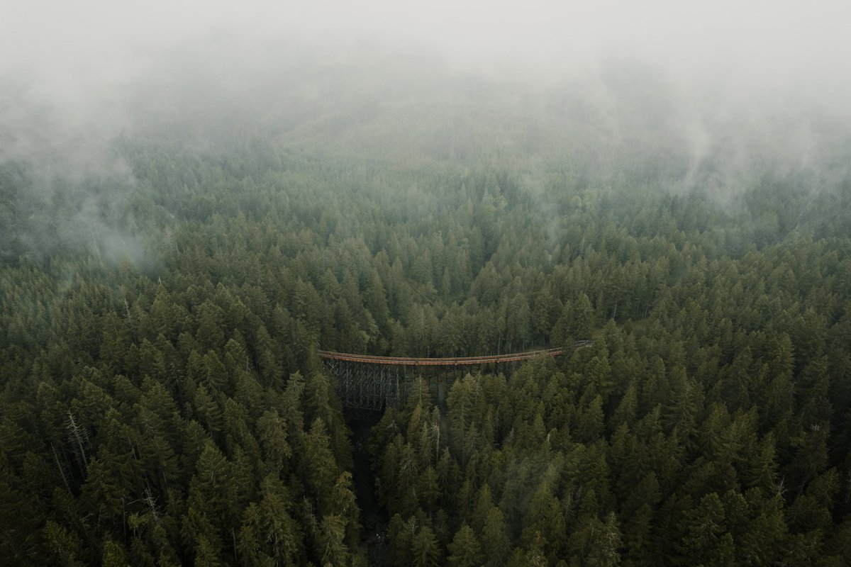 KerryTusa's tweet photo. What is remarkable is that we spend years studying society, the planet, building careers, taking care of our health, improving our relationships, and accumulating knowledge, yet we almost never investigate the one protagonist present in every one of those experiences: ourselves. https://t.co/ZkfHM3kVWO