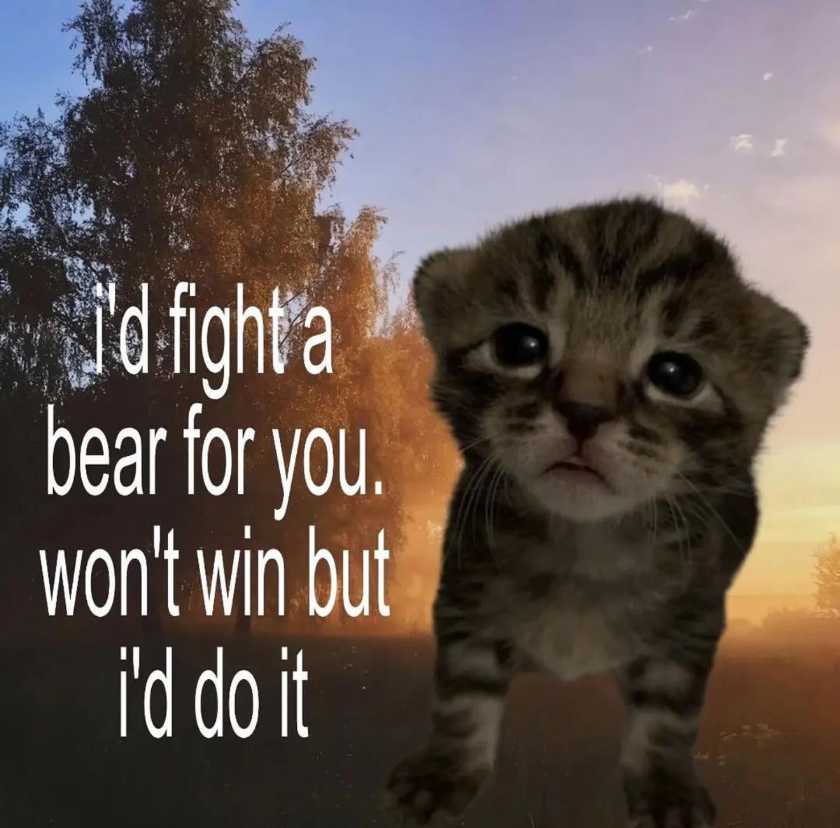 sillymeow4u's tweet photo. https://t.co/5pvI9mthfl