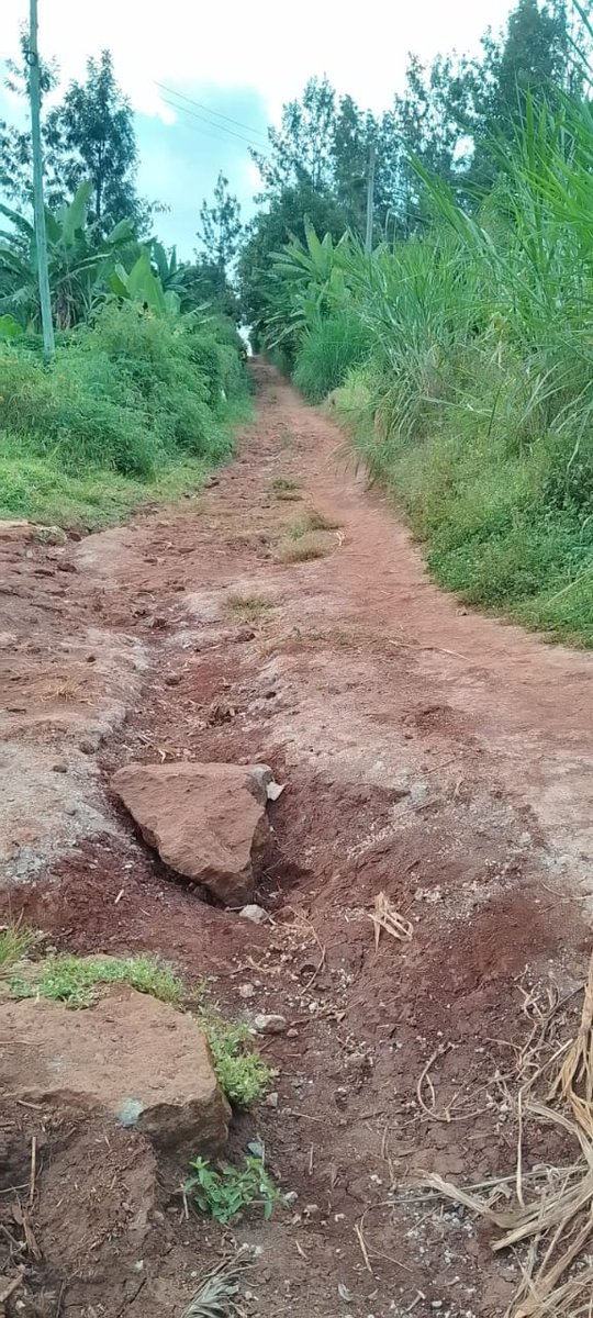 gitnyamu's tweet photo. @Wamatangi_ @joekigara @KiambuCountyGov @kiambu_magazine @GGKagombe @KamemeTvKenya @inoor Such amounts would put a permanent end to our suffering, plus concrete works on hilly sections that make this county road a hell for residents! It's been done elsewhere, @Wamatangi_ too can do it with billions he collects and receives @4thPresidentKEe  hapa ni jirani, tutetee. https://t.co/TcxZBT2ZTK