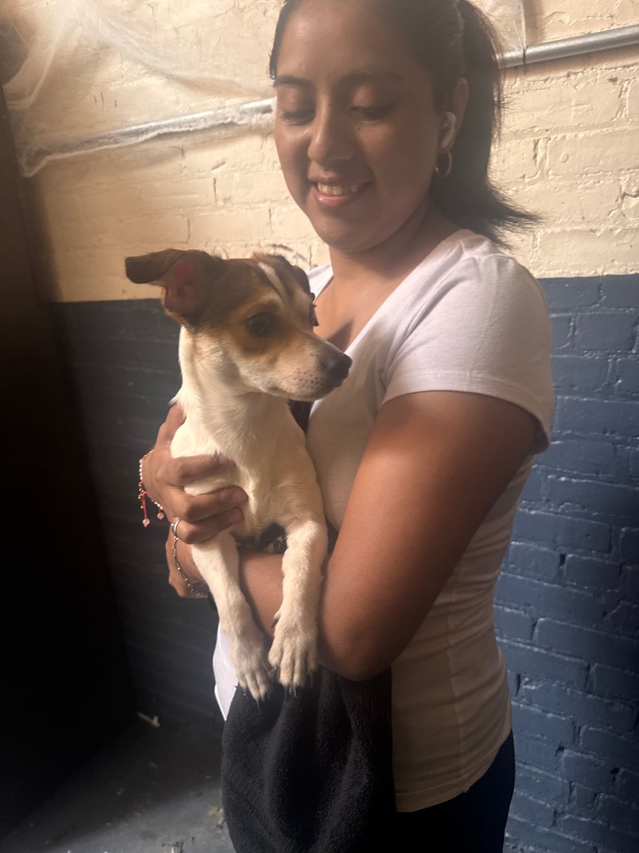 NYPD42Pct's tweet photo. Not all heroes wear uniforms. 💙🐾

We commend Crossing Guard Supervisor Baptiste &amp; Safe Horizon Advocate Johanna Bueno, who sprang into action after spotting a scared, lost pup. They kept him safe and cared for until he was reunited with his owner. 🐶💙

Compassion in action! https://t.co/95mL1XpIeR