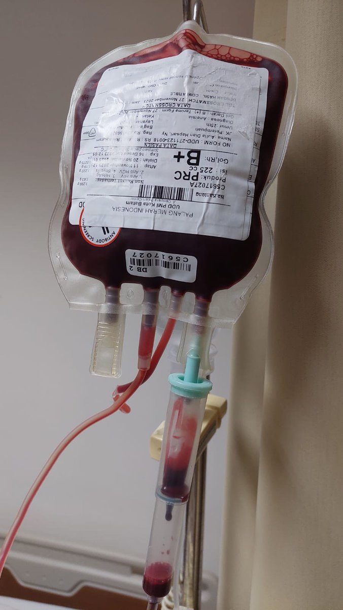 uknowimaul's tweet photo. flashback 2023 akhir, transfusi darah 2 kantung karna anemia : hamil 20 weeks. yg dirasakan saat itu ‘ya Allah maafkan hamba’ gakkuatttt🙏🏻 https://t.co/xAW91Sp87Z