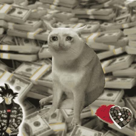 robachadotfun's tweet photo. one address wins CashCat #1152 today! 

rt + drop your EVM 🎰 https://t.co/aMNZcLmL75