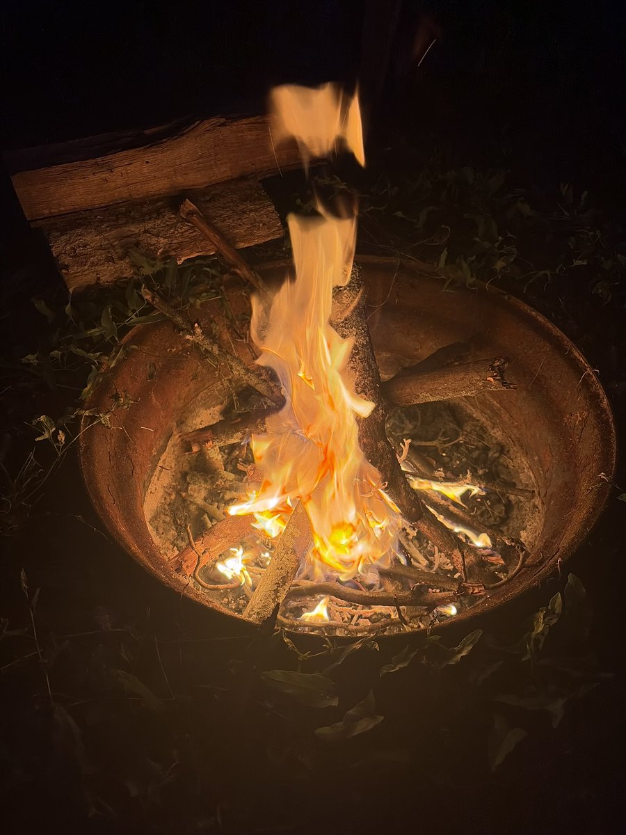 stargirl4523's tweet photo. Summer nights 💜 https://t.co/lnU9QAnqKC