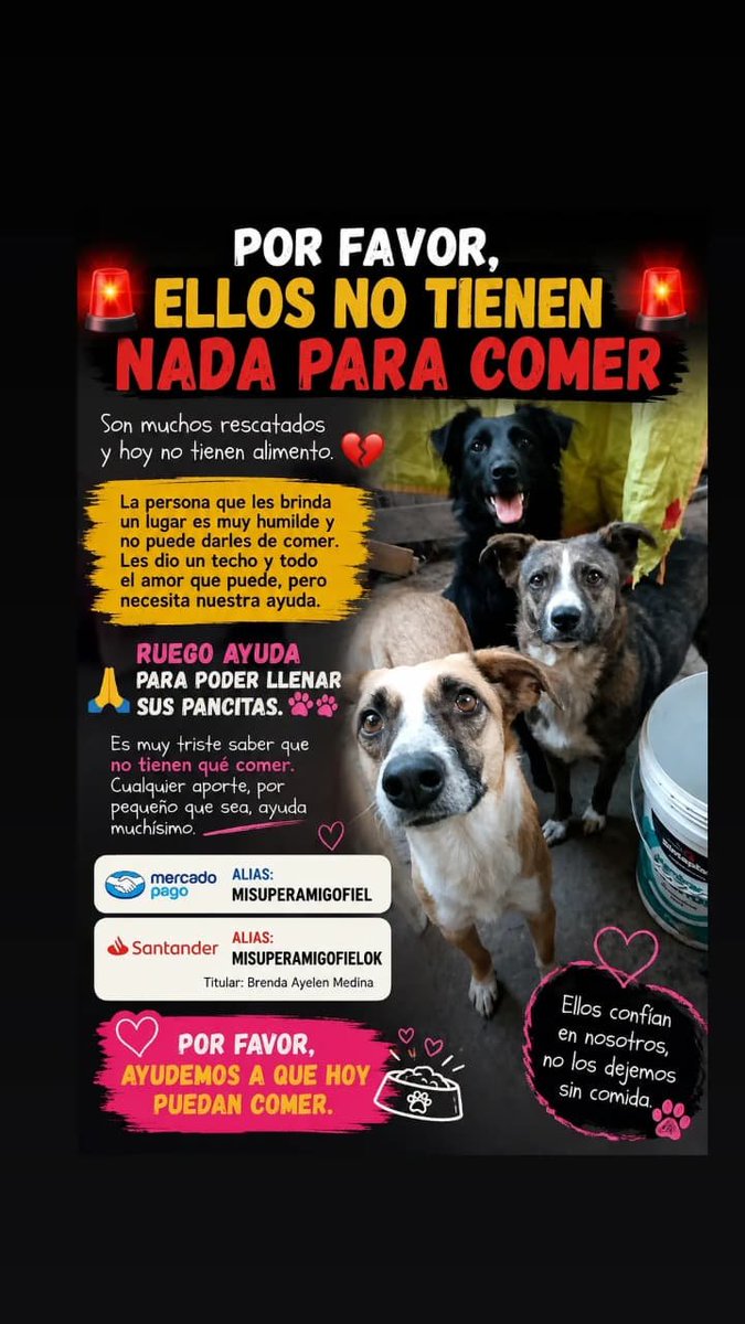misuperamigo's tweet photo. Por favor, ellos no tienen nada para comer. 💔 Sus platitos están vacíos y es desesperante no poder alimentarlos.

🙏 AYUDA, POR FAVOR. CADA APORTE PUEDE LLENAR UNA PANCITA.

💳 MP: MISUPERAMIGOFIEL
🏦 Santander: MISUPERAMIGOFIELOK
Titular: Brenda Ayelen Medina https://t.co/XAqDwVVqjT